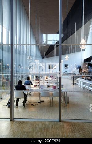 Bibliothèque, thé, Tenerife Espacio de las Artes, l'espace d'Art de Ténérife, Santa Cruz de Tenerife, Tenerife, Îles de Canaries, Espagne Banque D'Images