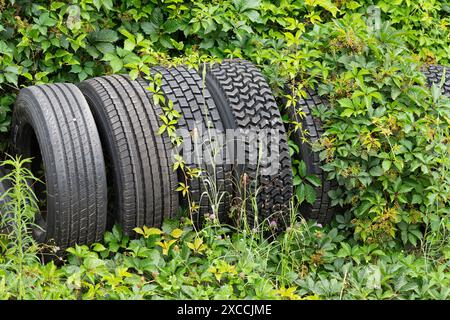 Quelques pneus abandonnés dans la nature Banque D'Images