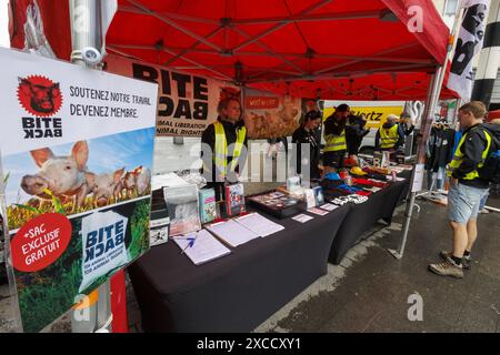 Brussel, Belgique. 16 juin 2024. Cette photo montre une action de protestation de l'organisation de défense des droits des animaux 'Bite Back' à Bruxelles le dimanche 16 juin 2024 pour demander plus d'aide financière pour la production d'aliments à base de plantes. Les manifestants affirment qu’un régime végétalien est meilleur pour les animaux, la santé humaine et le climat. BELGA PHOTO NICOLAS MAETERLINCK crédit : Belga News Agency/Alamy Live News Banque D'Images