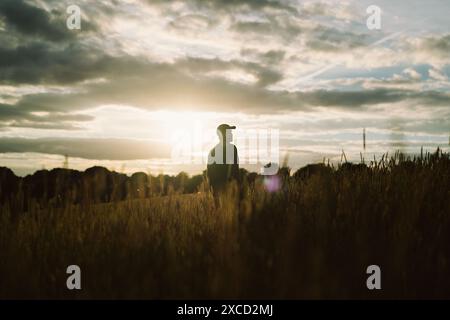 ANDREW HAIGH dans ALL OF US STRANGERS (2023), réalisé par ANDREW HAIGH. Crédit : Blueprint Pictures/Film4 Productions/Fox Searchlight/album Banque D'Images