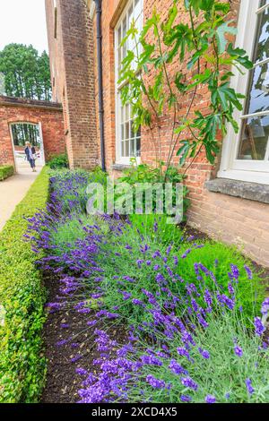 Lit Lavendar, Tredegar House, Newport, pays de Galles, Royaume-Uni Banque D'Images