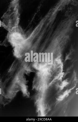 Vue en noir et blanc de nuages inhabituels contre le ciel clair ; Joshua Tree National Park ; Californie ; États-Unis Banque D'Images