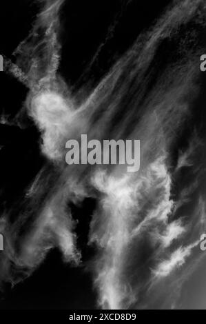 Vue en noir et blanc de nuages inhabituels contre le ciel clair ; Joshua Tree National Park ; Californie ; États-Unis Banque D'Images