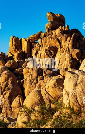 Formations rocheuses inhabituelles ; terrain de camping Indian Cove ; parc national Joshua Tree ; Californie du Sud ; États-Unis Banque D'Images