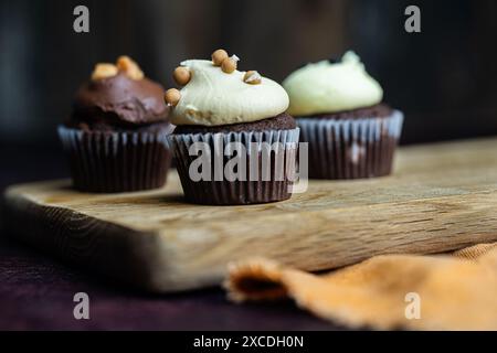 cupcakes au chocolat et à la vanille Banque D'Images