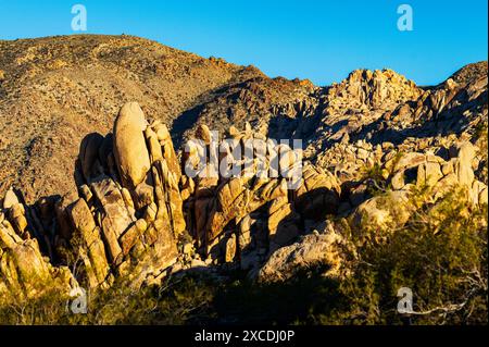 Formations rocheuses inhabituelles ; terrain de camping Indian Cove ; parc national Joshua Tree ; Californie du Sud ; États-Unis Banque D'Images