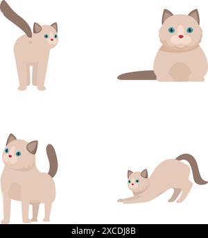 Illustration de quatre chats siamois présentant différentes postures et expressions sur fond blanc Illustration de Vecteur