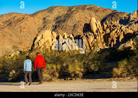 Visiteurs marchant ; terrain de camping Indian Cove ; parc national Joshua Tree ; Californie du Sud ; États-Unis Banque D'Images