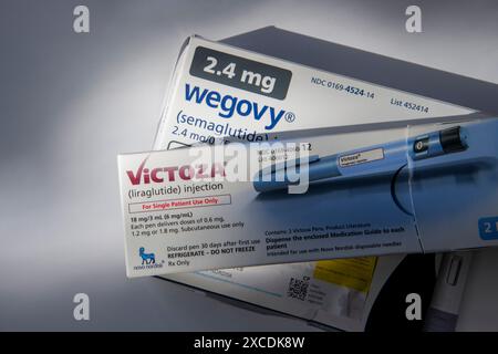 Nature morte de Victoza et Wegovy. Les deux sont des médicaments injectables de perte de poids sur ordonnance. Banque D'Images