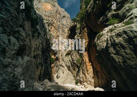 Gorge de Gola di Gorropu en Sardaigne - le Parc National de Gennargentu, province de Nuoro Banque D'Images