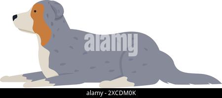 Blue merle chien de berger australien est allongé et relaxant Illustration de Vecteur