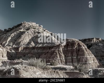 Magnifique paysage désertique au Texas Banque D'Images