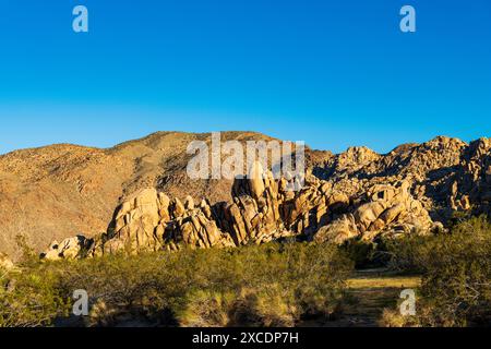 Formations rocheuses inhabituelles ; terrain de camping Indian Cove ; parc national Joshua Tree ; Californie du Sud ; États-Unis Banque D'Images