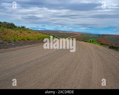 WA25399-00...WASHINGTON - route tranquille au sommet de Badger Mountain, sur Rock Island Grade. Banque D'Images