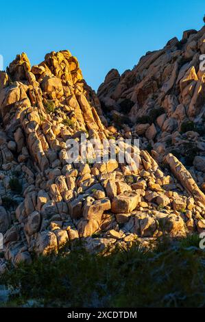 Formations rocheuses inhabituelles ; terrain de camping Indian Cove ; parc national Joshua Tree ; Californie du Sud ; États-Unis Banque D'Images