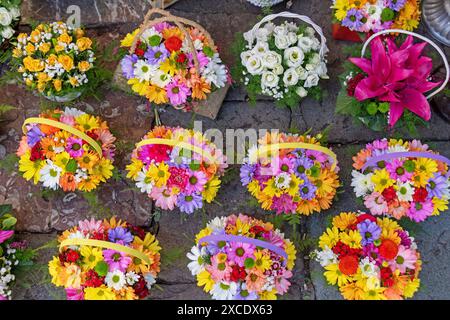 Grande variété de plantes de fleurs colorées à l'extérieur sur un étal de marché Banque D'Images