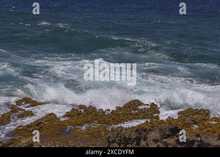 Beauté naturelle spectaculaire des vagues qui s'écrasent contre le rivage rocheux accidenté de la côte caraïbe d'Aruba. Banque D'Images