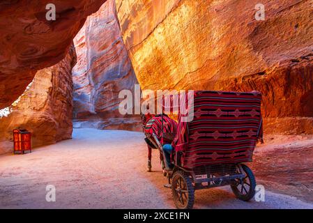 Petra, Jordanie : cheval tirant une voiture pour le transport des touristes au Trésor à travers le canyon Siq. Destination de voyage moyen-Orient Banque D'Images