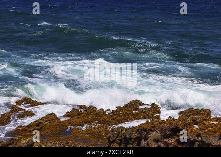 Beauté naturelle spectaculaire des vagues qui s'écrasent contre le rivage rocheux accidenté de la côte caraïbe d'Aruba. Banque D'Images