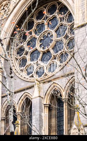 Rosace à la cathédrale de la Bienheureuse Vierge Marie dans la ville de Truro, Cornouailles, Angleterre, Royaume-Uni Banque D'Images