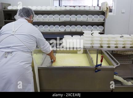 Fabrication de fromage à partir de lait de mouton Latxa appellation d’origine Idiazabal fromagerie Gomiztegi Baserria, Arantzazu, Oñati, Gipuzkoa, pays Basque, Banque D'Images