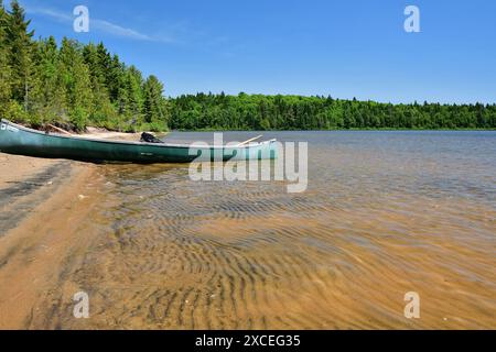 Parc national de la Mauricie Lac Caribou. Canoë vert sur une plage de sable Banque D'Images