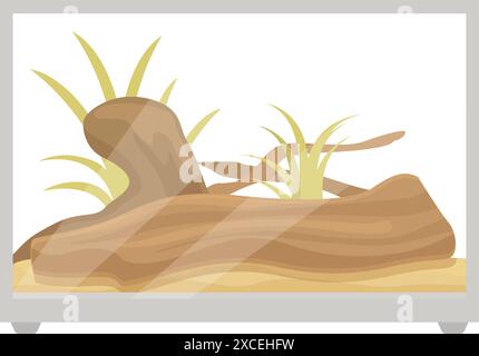 Terrarium en verre avec décoration en bois et plantes vertes pour reptiles est debout sur le sol Illustration de Vecteur