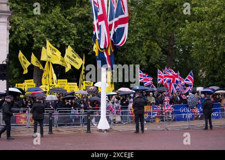 Pas mon roi anti monarchie protestataires et royalistes Trooping the Colour Color London 2024 Banque D'Images