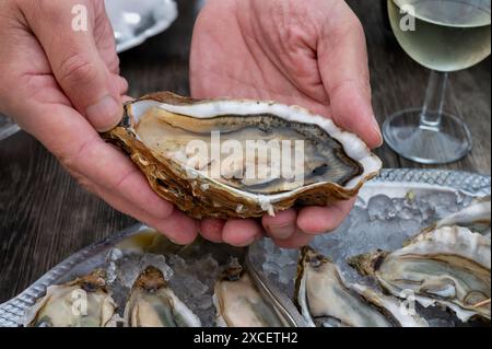 Manger des huîtres fraîches vivantes avec du citron et du pain au café de ferme en plein air dans le village ostréicole, bassin d'Arcachon, port de Gujan-Mestras, Bordeaux, Fran Banque D'Images