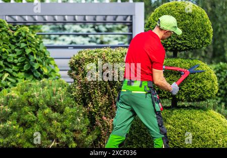 Un paysagiste dans une chemise rouge et un pantalon vert taillent une haie avec des cisailles. Il porte un chapeau et des gants pour se protéger lorsqu'il travaille. La haie Banque D'Images