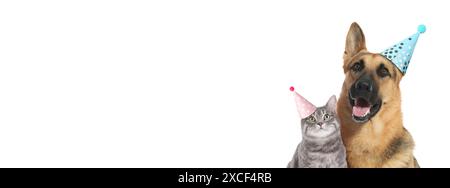 Chien et chat mignon avec chapeaux de fête sur fond blanc, conception de bannière. Espace pour le texte Banque D'Images