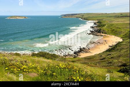 Vue sur le paysage de Petrel Cove depuis The Bluff ou Rosetta Head dans Victor Harbor sur la péninsule de Fleurieu, Australie méridionale Banque D'Images