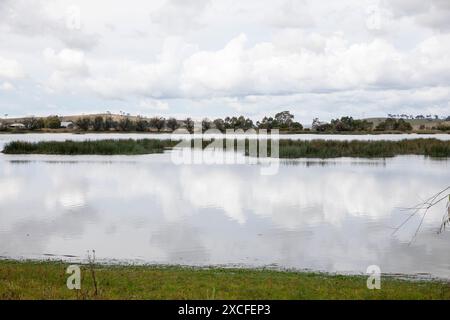 Terres humides australiennes lagunes dynamiques, lagune de Dangars et zones humides près d'Uralla dans le nord de la Nouvelle-Galles du Sud, Australie, sanctuaire pour la faune des oiseaux aquatiques Banque D'Images