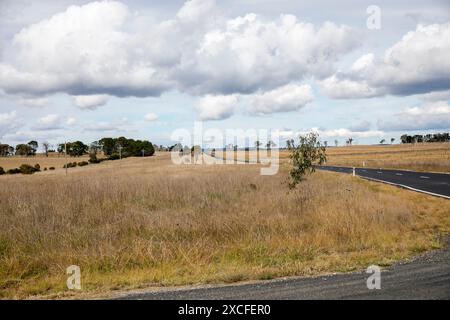 Thunderbolt Way est une route de campagne de 305 kilomètres (190 mi) située dans la région Northern Tablelands de Nouvelle-Galles du Sud, en Australie Banque D'Images