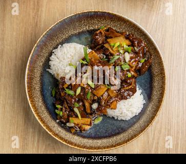 Délicieux sauté de bœuf avec bambou et riz à la manière asiatique Banque D'Images