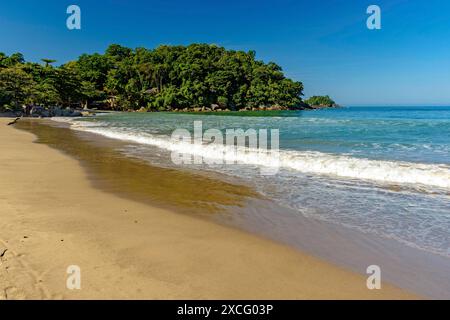 Superbe plage de Castelhanos à Ilhabela entourée de forêt et de mer, plage de Castelhanos, Ilhabela, Sao Paulo, Brésil Banque D'Images