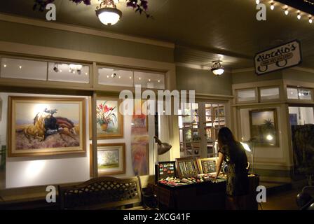 ÎLE DE KAUAI / HAWAÏ / Etats-Unis   Galerie des beaux-arts de Giorgio hanapepe au sud de Kauai 4 Jan 2013 (photo DeanPictures) Banque D'Images