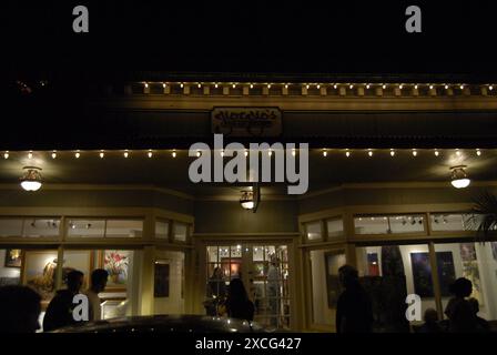 ÎLE DE KAUAI / HAWAÏ / Etats-Unis   Galerie des beaux-arts de Giorgio hanapepe au sud de Kauai 4 Jan 2013 (photo DeanPictures) Banque D'Images