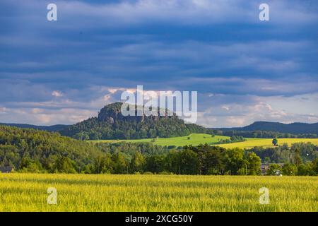 Le Pfaffenstein, également connu sous le nom de Jungfernstein, est une haute montagne de table dans les montagnes de grès de l'Elbe en Saxe. Il se trouve à gauche de la rivière Banque D'Images