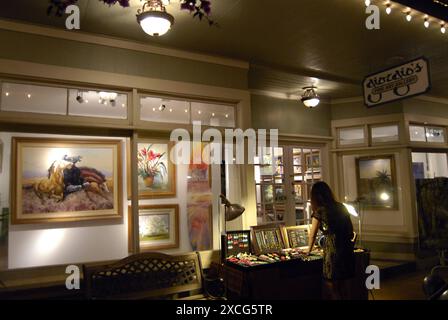 ÎLE DE KAUAI / HAWAÏ /Etats-Unis   Giorgio s beaux-arts hanapepe au sud de Kauai 4 Jan 2013 photo DeanPictures Banque D'Images