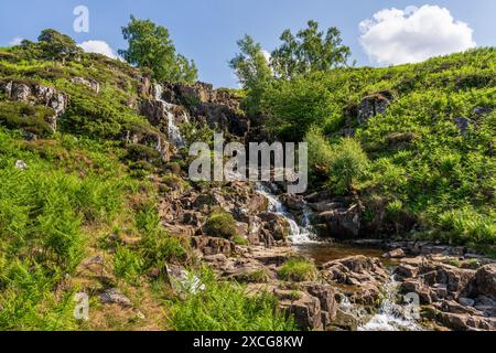 La Bleabeck Force près de la rivière Tees, comté de Durham, Angleterre, Royaume-Uni Banque D'Images