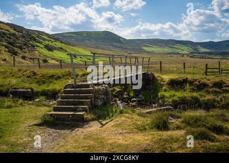 Pennine Way près de la rivière Tees entre High Force et Bleabeck Force, comté de Durham, Angleterre, Royaume-Uni Banque D'Images