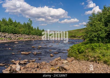 Pennine Way et River Tees entre Bleabeck Force et High Force, près de Bowlees, comté de Durham, Angleterre, Royaume-Uni Banque D'Images