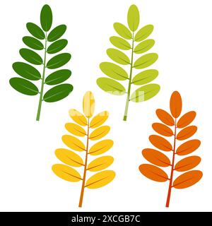 Ensemble de feuilles vertes, jaunes et rouges isolées sur fond blanc. Illustration vectorielle des feuilles d'automne. Illustration de Vecteur