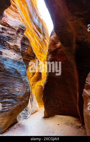 Intérieur du Wire Pass slot Canyon, Vermilion Cliffs National Monument, Utah, États-Unis Banque D'Images