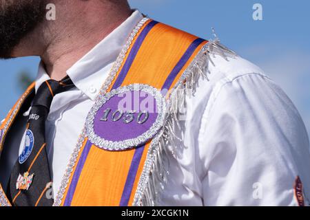 Homme portant la collarette de LOL N° 1050 à la parade annuelle du débarquement royal à Carrickfergus. Samedi 8 juin 2024. Banque D'Images