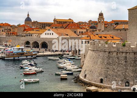 Dubrovnik Hafen, Stadtmauer und Altstadt von Dubrovnik, Kroatien, Europa Harbour, remparts et vieille ville de Dubrovnik, Croatie, Europe *** Dubrovnik H Banque D'Images