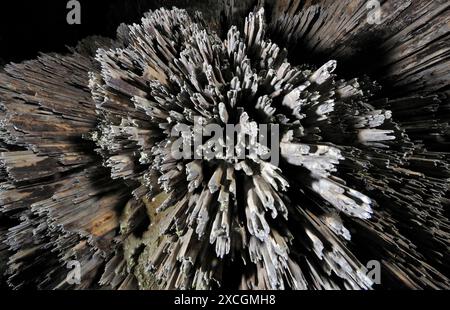 Le géant de grottes de Mulu National Park, Sarawak, Bornéo, Malaisie Banque D'Images