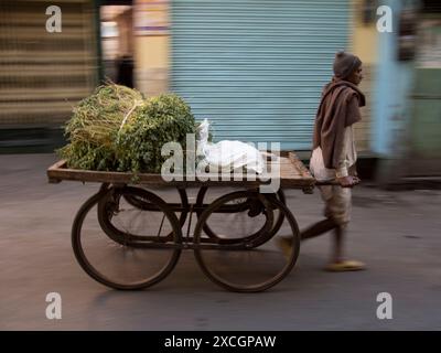 Homme portant un bouquet de légumes verts sur chariot à Udaipur, Rajasthan, Inde Banque D'Images