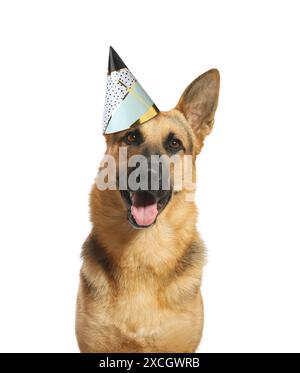 Chien berger allemand mignon avec chapeau de fête sur fond blanc Banque D'Images